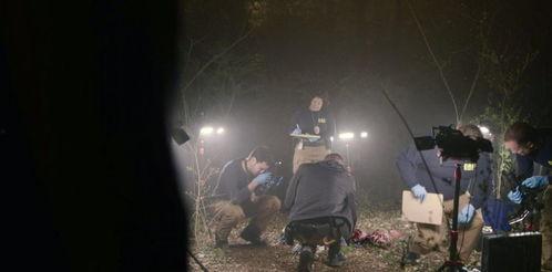 目击者美剧 在线观看,揭秘真实事件背后的惊人真相  第1张