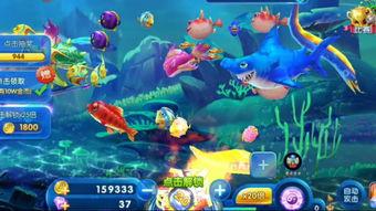 深海捕鱼爆料视频下载安装,揭秘神秘海洋生物的捕捞过程 第1张 深海捕鱼爆料视频下载安装,揭秘神秘海洋生物的捕捞过程 第1张