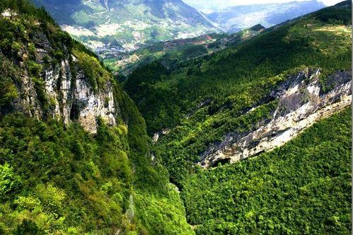 重庆奉节县爆料新闻,揭秘事件背后真相  第1张